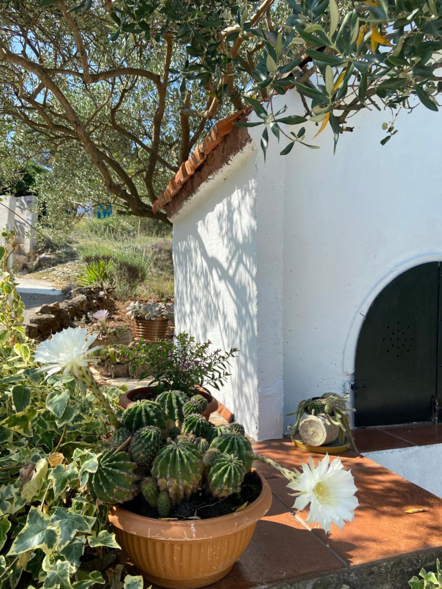 Family House Ljubica Villa Трогир Екстериор снимка